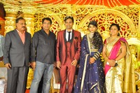 Producer Krishna Reddy Son Wedding Reception